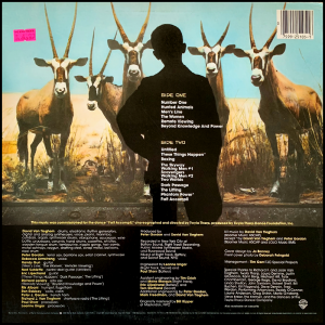 back cover of These Things Happen by David Van Tieghem