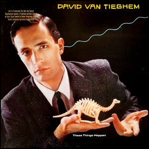 front cover of These Things Happen by David Van Tieghem
